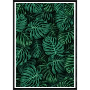 Tableau Feuille avec cadre noir POP – Taille 23x32