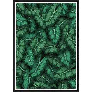 Tableau Feuille avec cadre noir POP – Taille 23x32